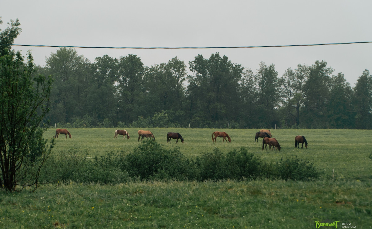 Изображение 7