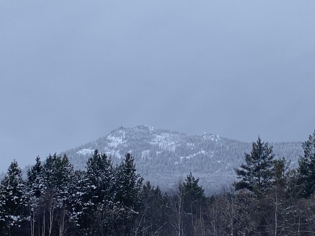 Изображение 0