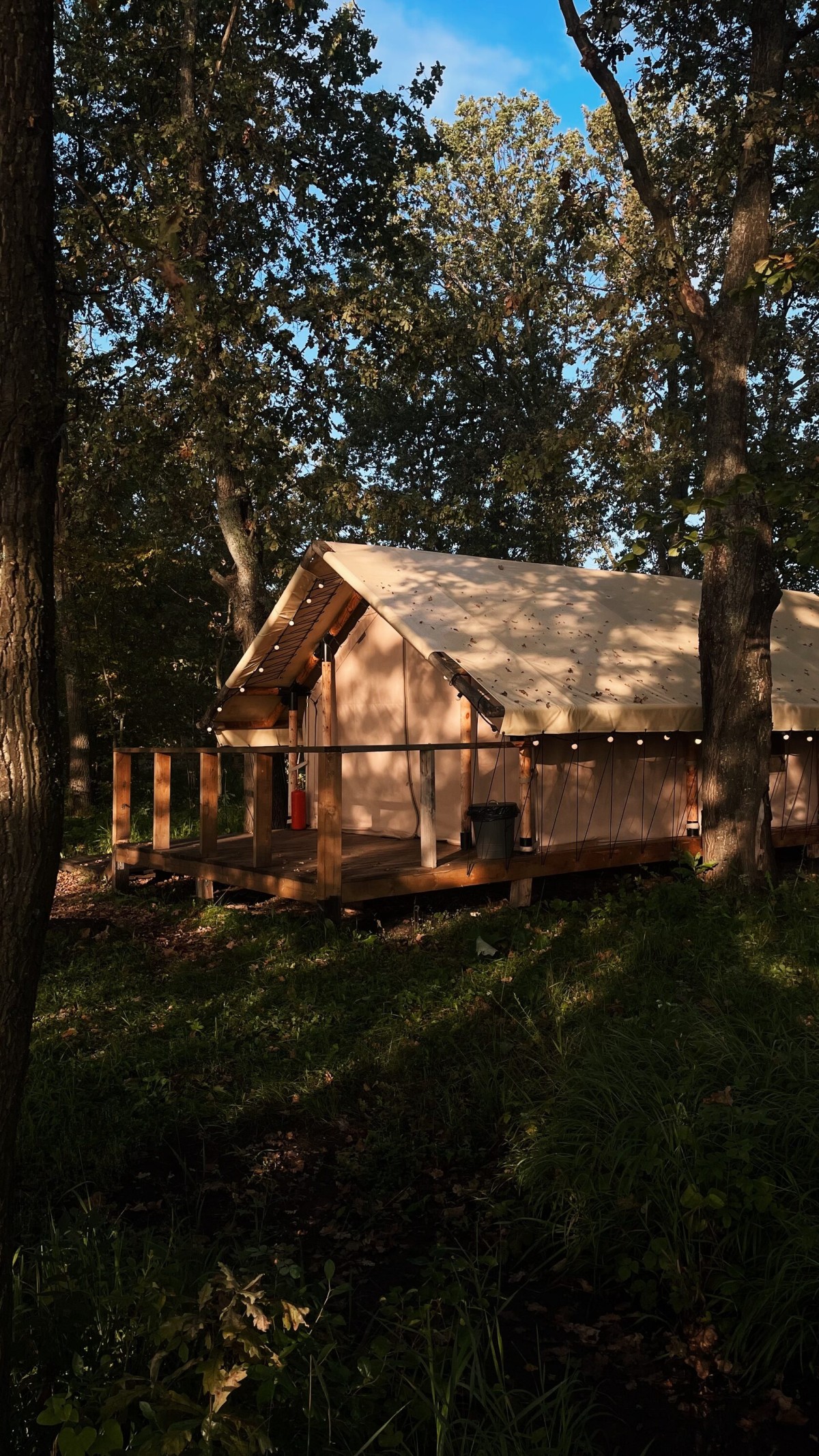 Изображение 14