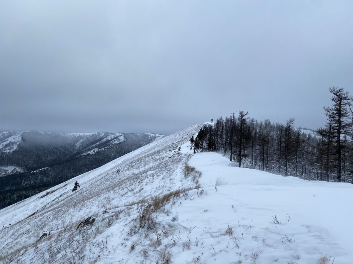 Изображение 0