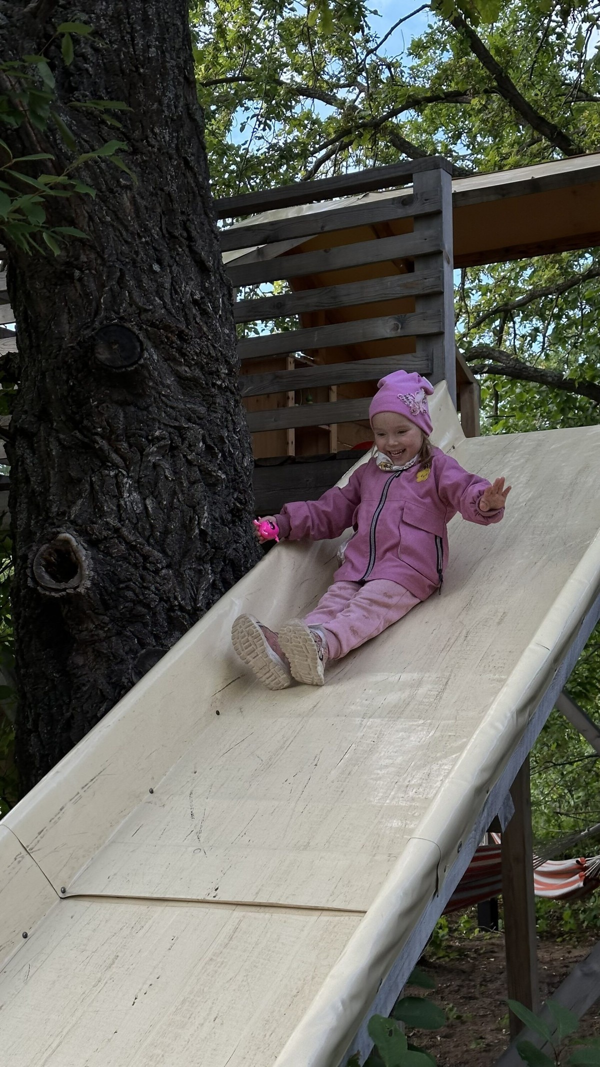 Изображение 8