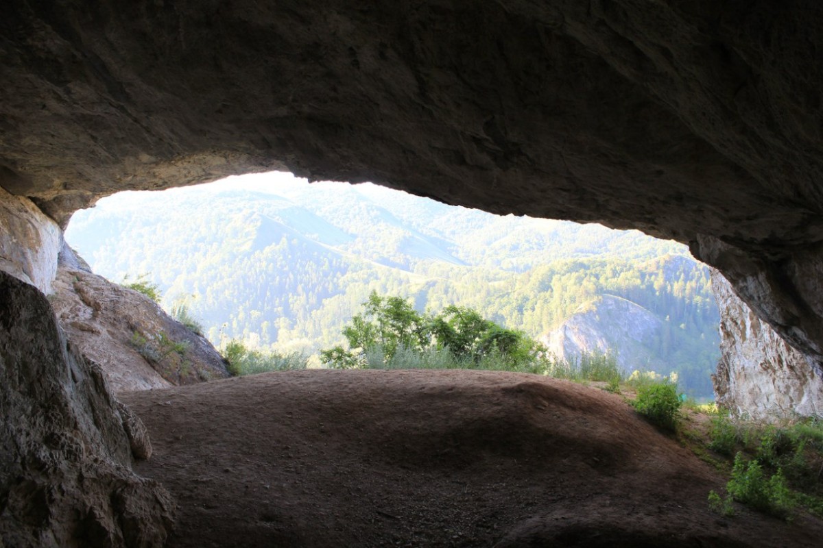 Изображение 2