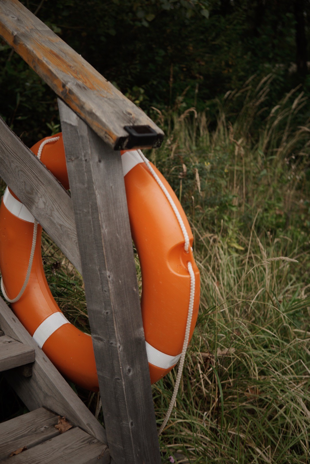 Изображение 25