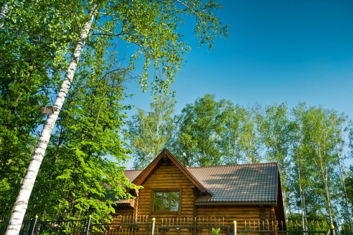 Изображение 11