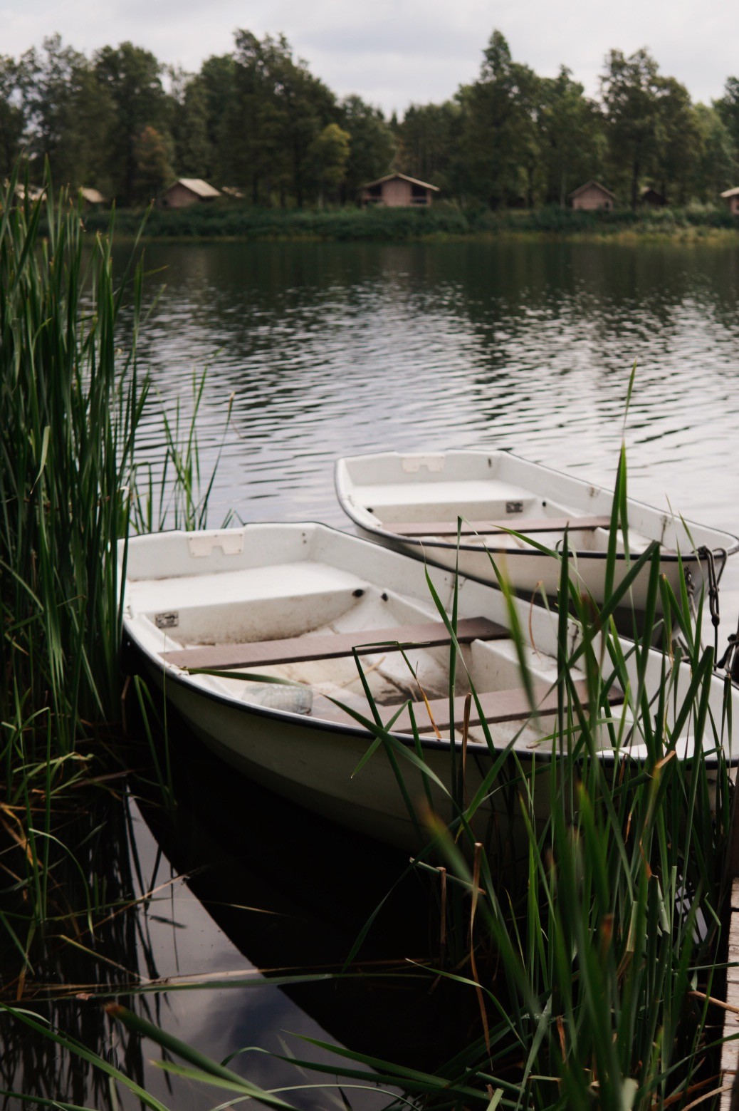 Изображение 28